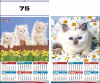75