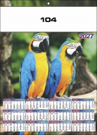 104