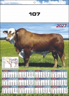 107