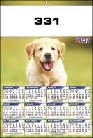331