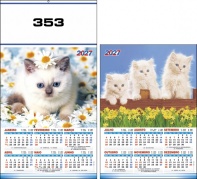 353