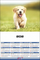 202