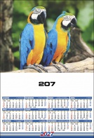 207