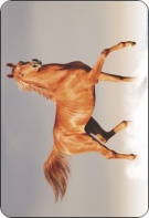 409